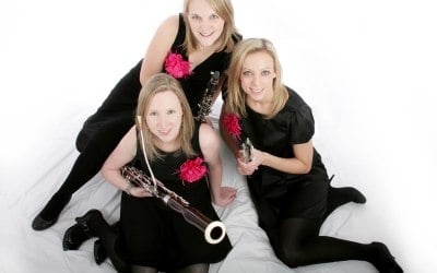 The Marylebone Trio provides classical music for weddings and events