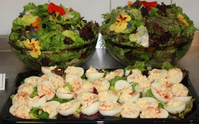 Devilled eggs and green salad