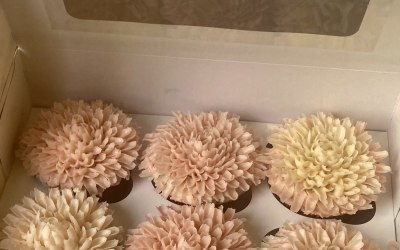 chrysanthemum cupcake in box
