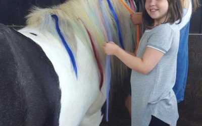 Therapeutic Equine Assisted Learning CIC