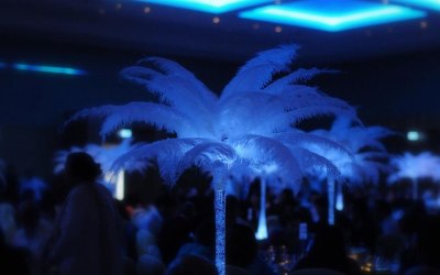 Ostrich Feather Table Centre
