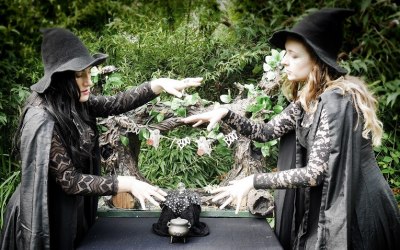 The Tale of the Woodland Witches