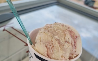 Marshfield Farm Cotswolds Ice-cream