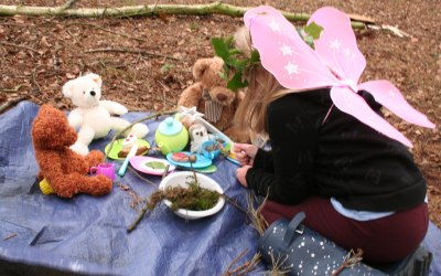 How about a teddy bear's picnic or woodland fairy party?