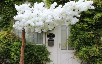 Blossom Canopy for hire 
