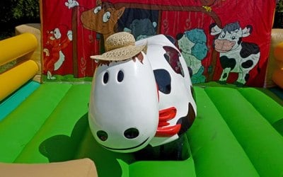 Rodeo Cow