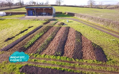 A customer's flower farm, we shoot their story and our photos help with their planting planning, they get a great view from the sky!
