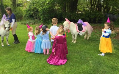 princess pony party