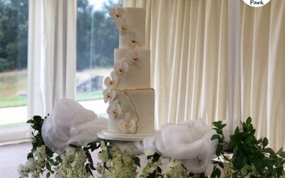 White, sugar orchid wedding cake showcased to perfection on a cake swing