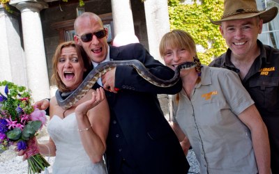 snakes at a wedding