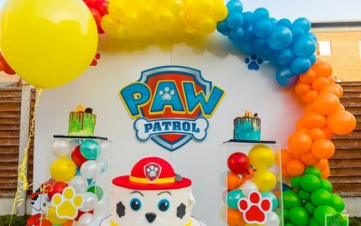 Paw Patrol Themed Kids Birthday Backdrop