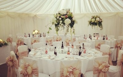 Chair Covers/ Sashes