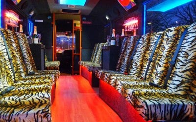 the interior of the tiger print party bus