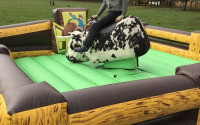 Rodeo Bull and Simulator hire:  https://www.splashinflatables.com/category/rodeo-and-simulators#BodyContent