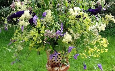 hedgerow and garden flowers