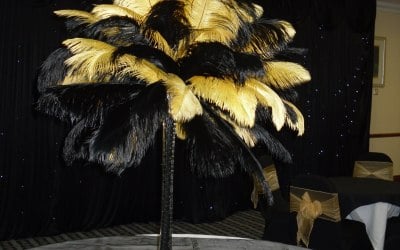 ostrich feather centrepieces can be in any colours with light up bases