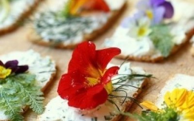Fancy canapés with edible flowers