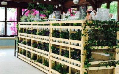 Our stunning botanical bar, pick your own garnish for your G&T!