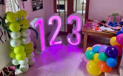 LED light up numbers