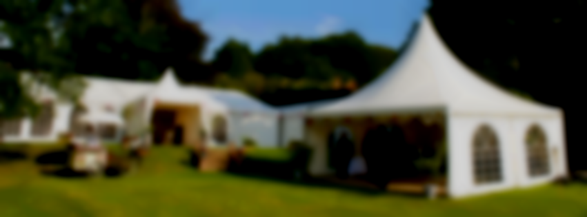 Festival Style Festival marquee