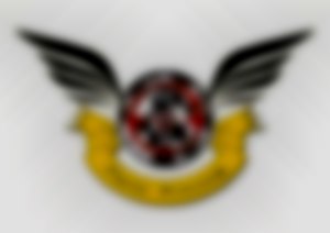 Our logo