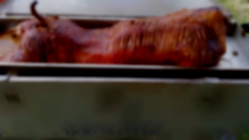 The Lazy Pig Co