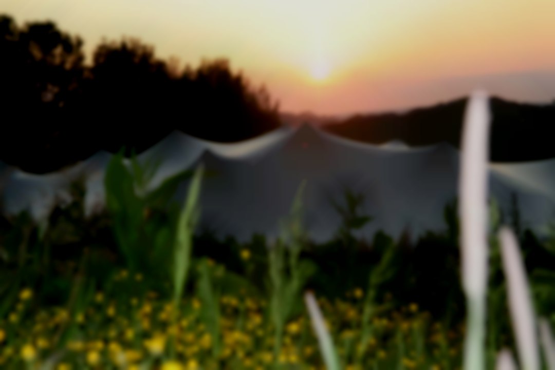 Stretch tent at sunset