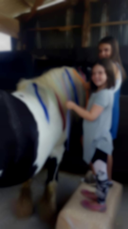 Therapeutic Equine Assisted Learning CIC