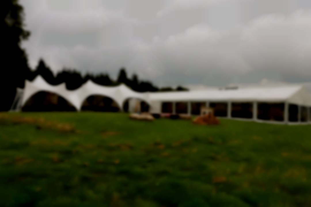 Trapeze & Marquee combination