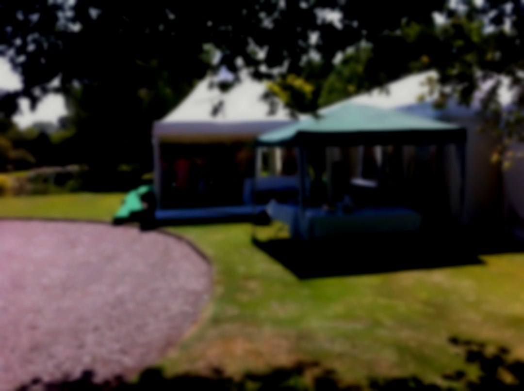 Roachs Roaster Hog Roast