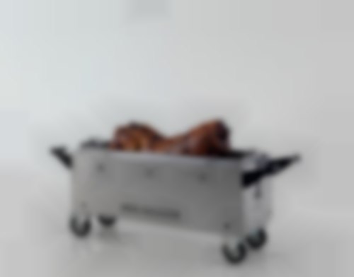 DG MIDLAND HOG ROAST The Hogmaster Oven cooks the Hog to perfection