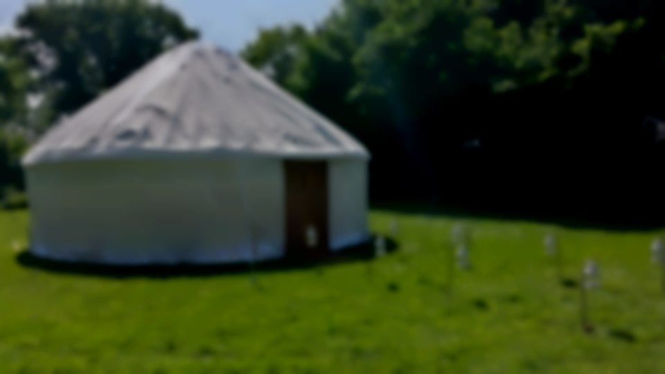 6m diameter yurt