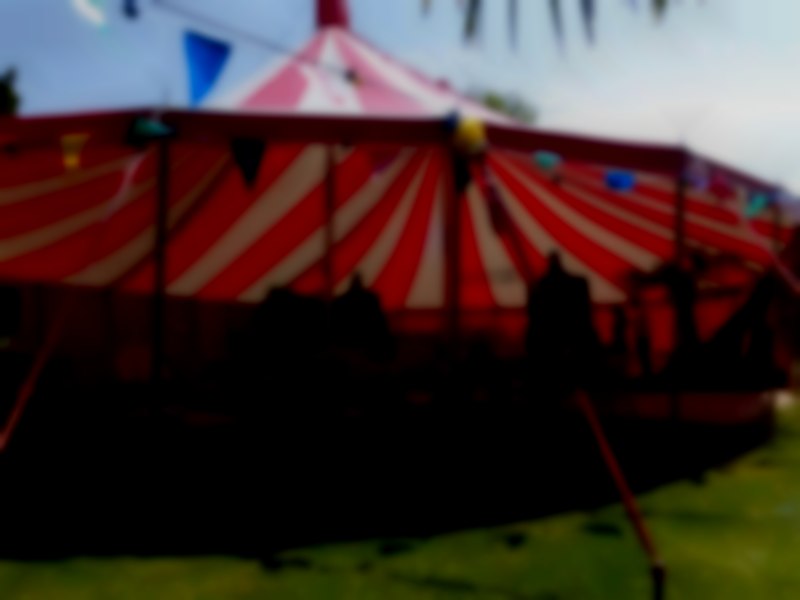 40x60ft circus tent Festival Marquees