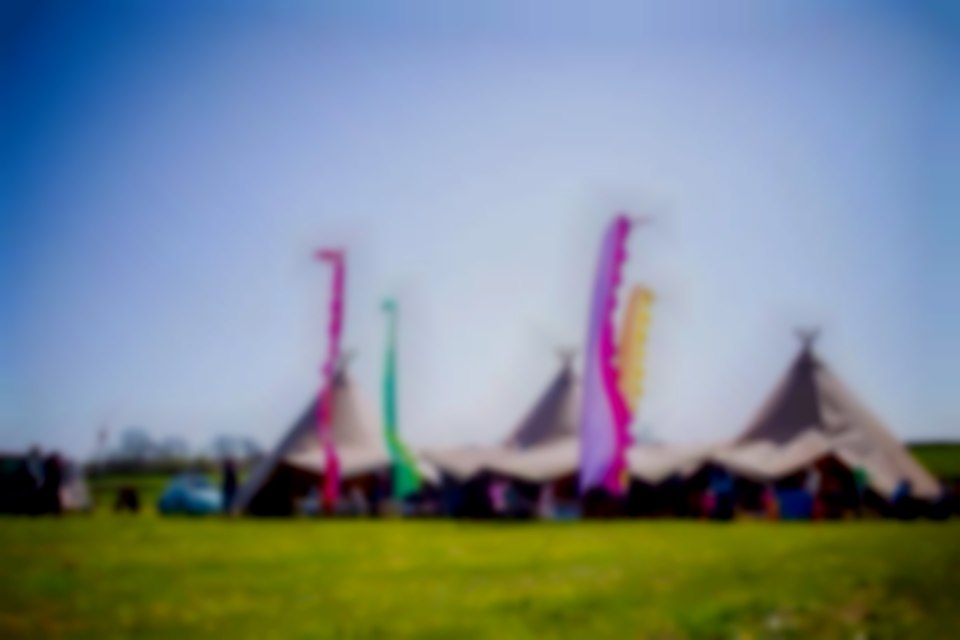 Festival Wedding Pembrokeshire