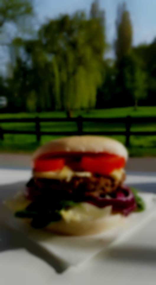 gourmet burgers Cook n Go