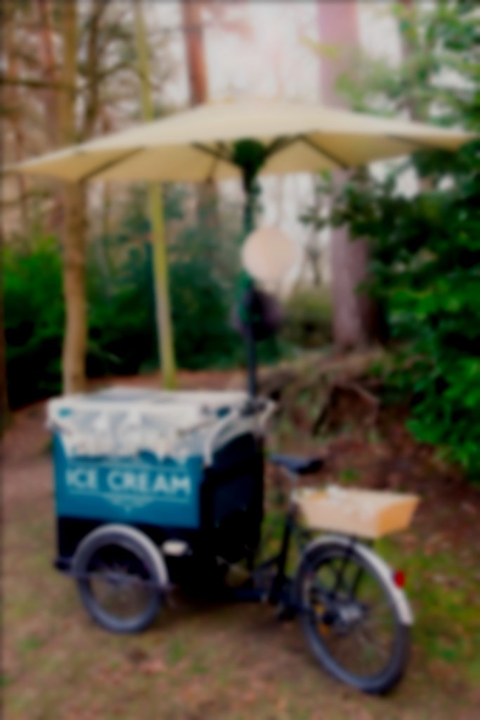 Plum Honeychurch & Her Ice Cream Tricycle