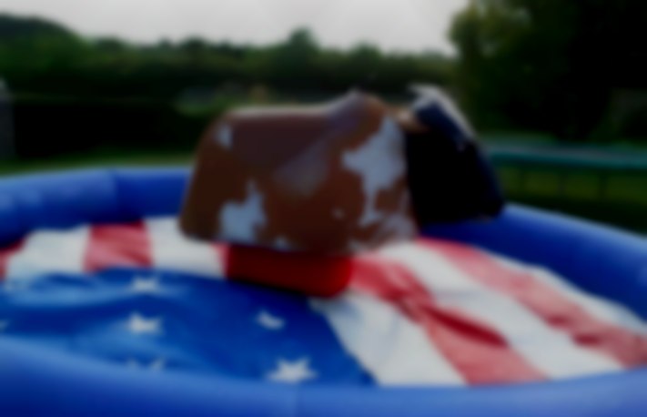 Rodeo Bull Wales Rodeo bull hire