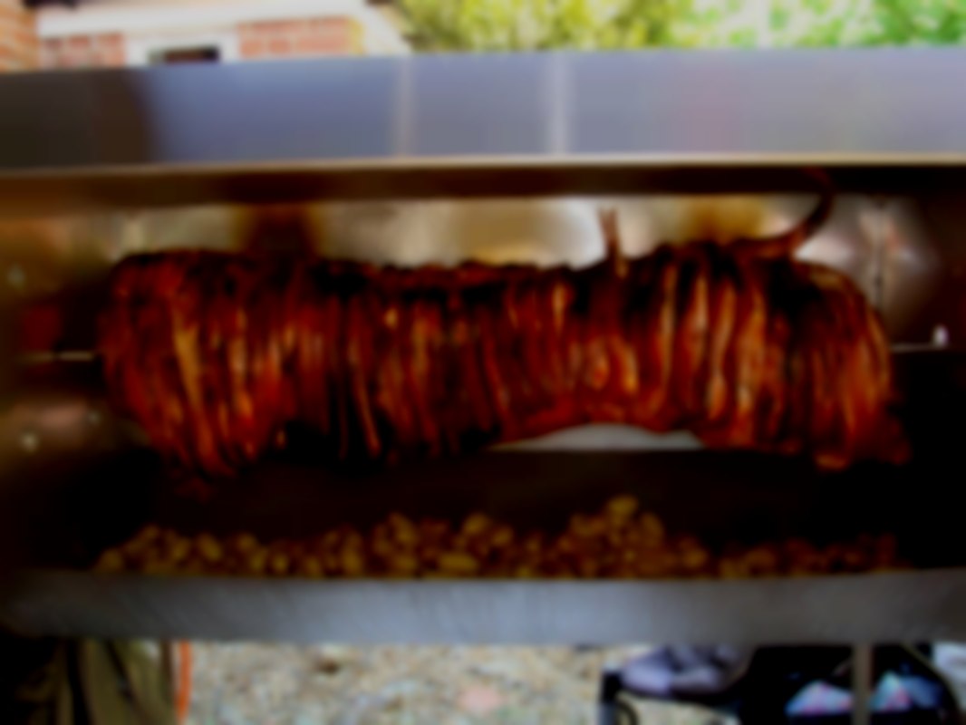 Whole Hog Roast on the spit with baby roasted potatoes, rosemary and garlic. Spit and Grill BBQ Company