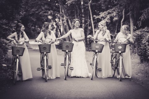 Steve Phillips Photography