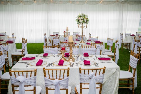 image-5-marquee.jpg