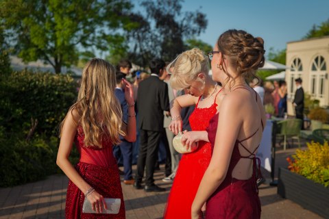 p1035884-2.jpg