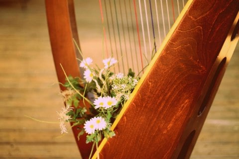 Harpists