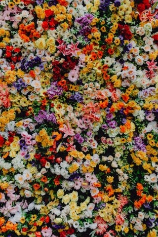 Flower Walls