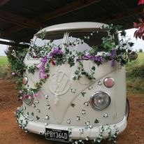 Vintage Vibes VW Hire