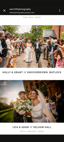 Forest Fox Photography