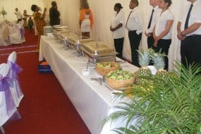 Trini Caribbean Catering Event Crew Hire Profile 1