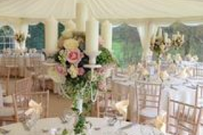 Vanilla Mint Traditional Pole Marquee Profile 1