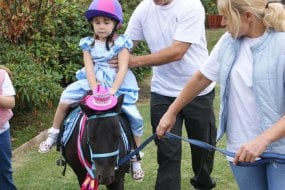 Yorkshire's Party Ponies Fun and Games Profile 1