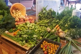 Wylie & Wood Healthy Catering Profile 1