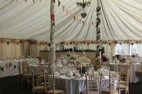 Rose Pink Vintage Event Prop Hire Profile 1